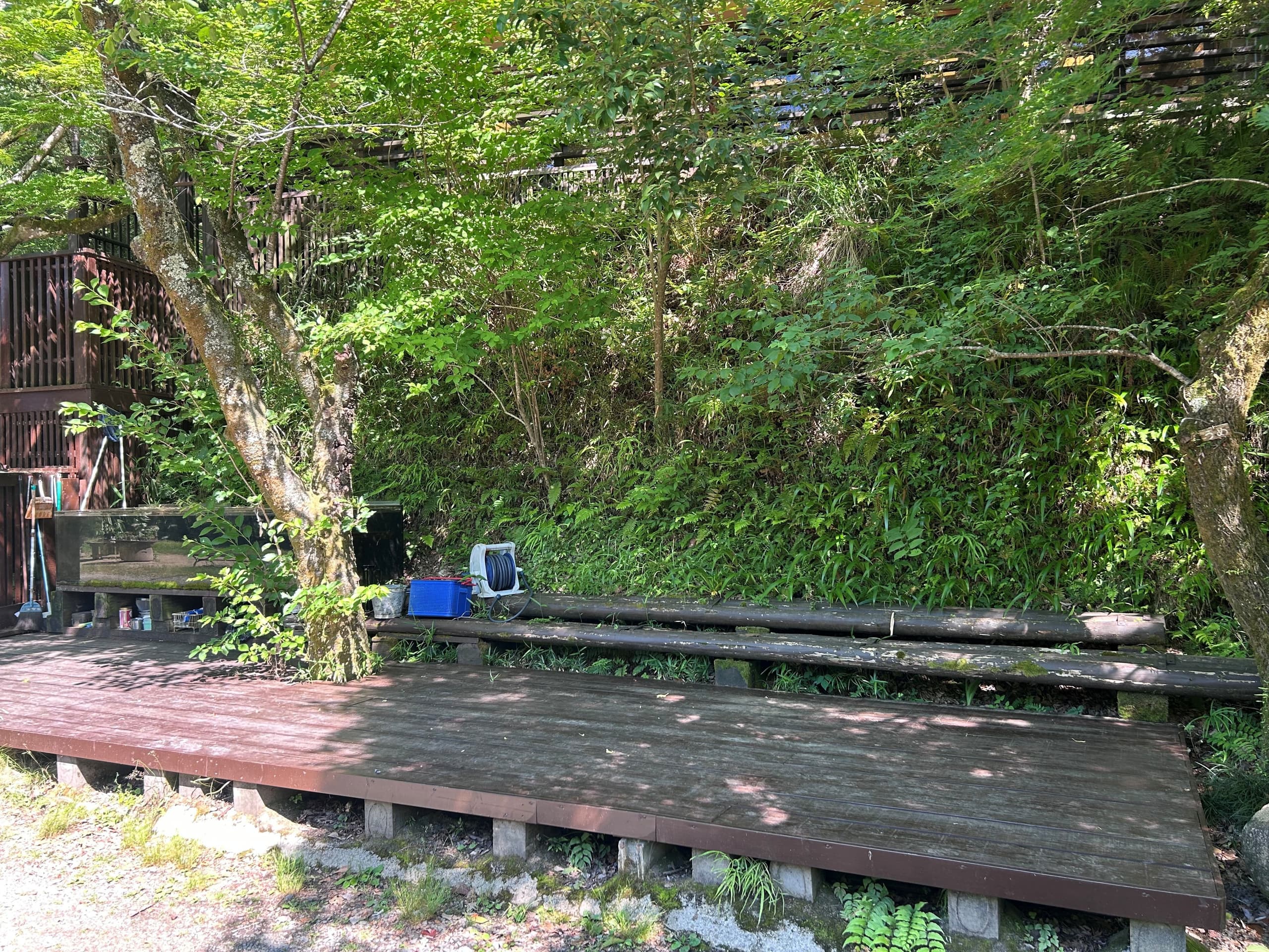 img20260529151139399726.jpg